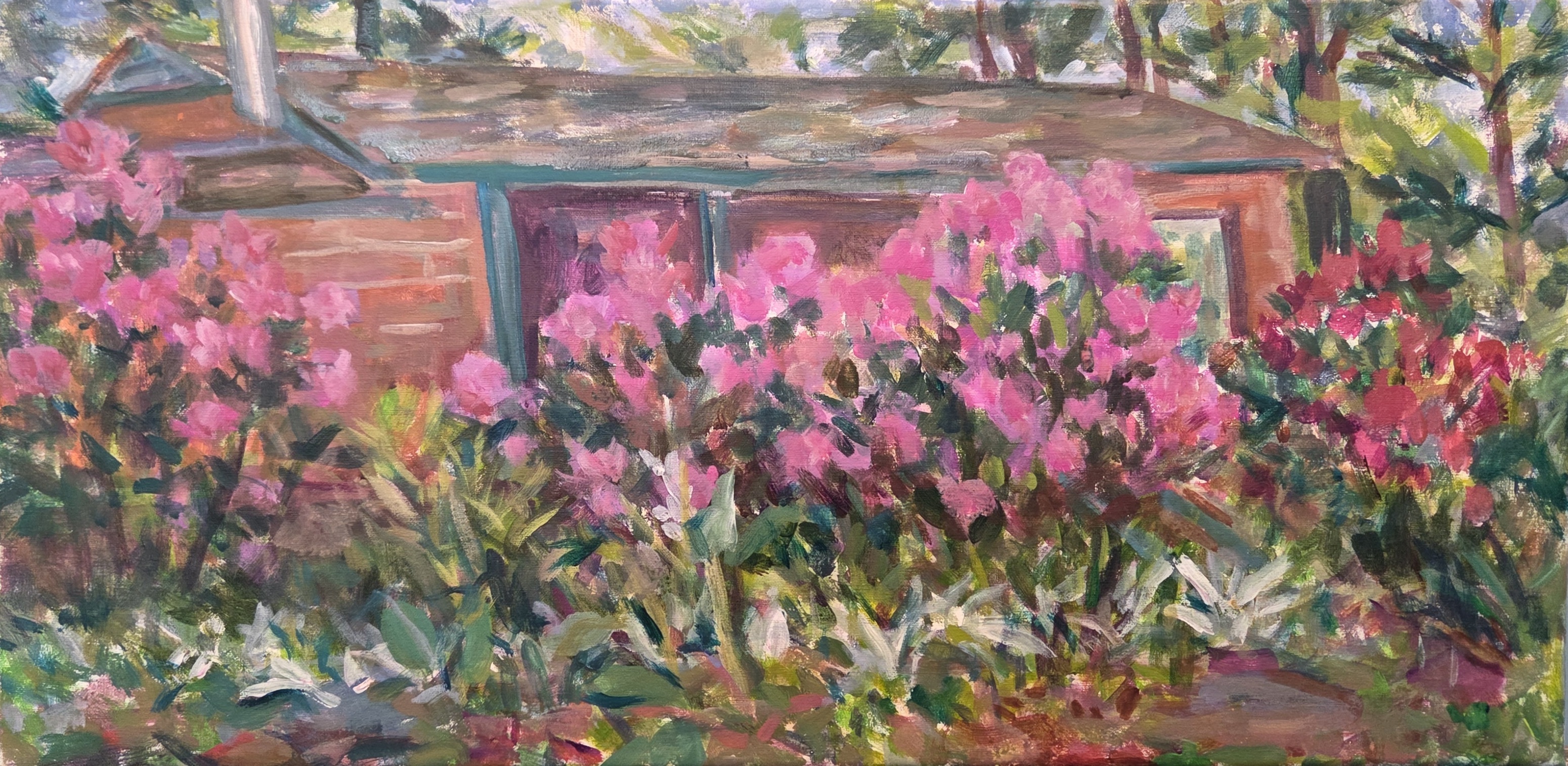Rhododendrons