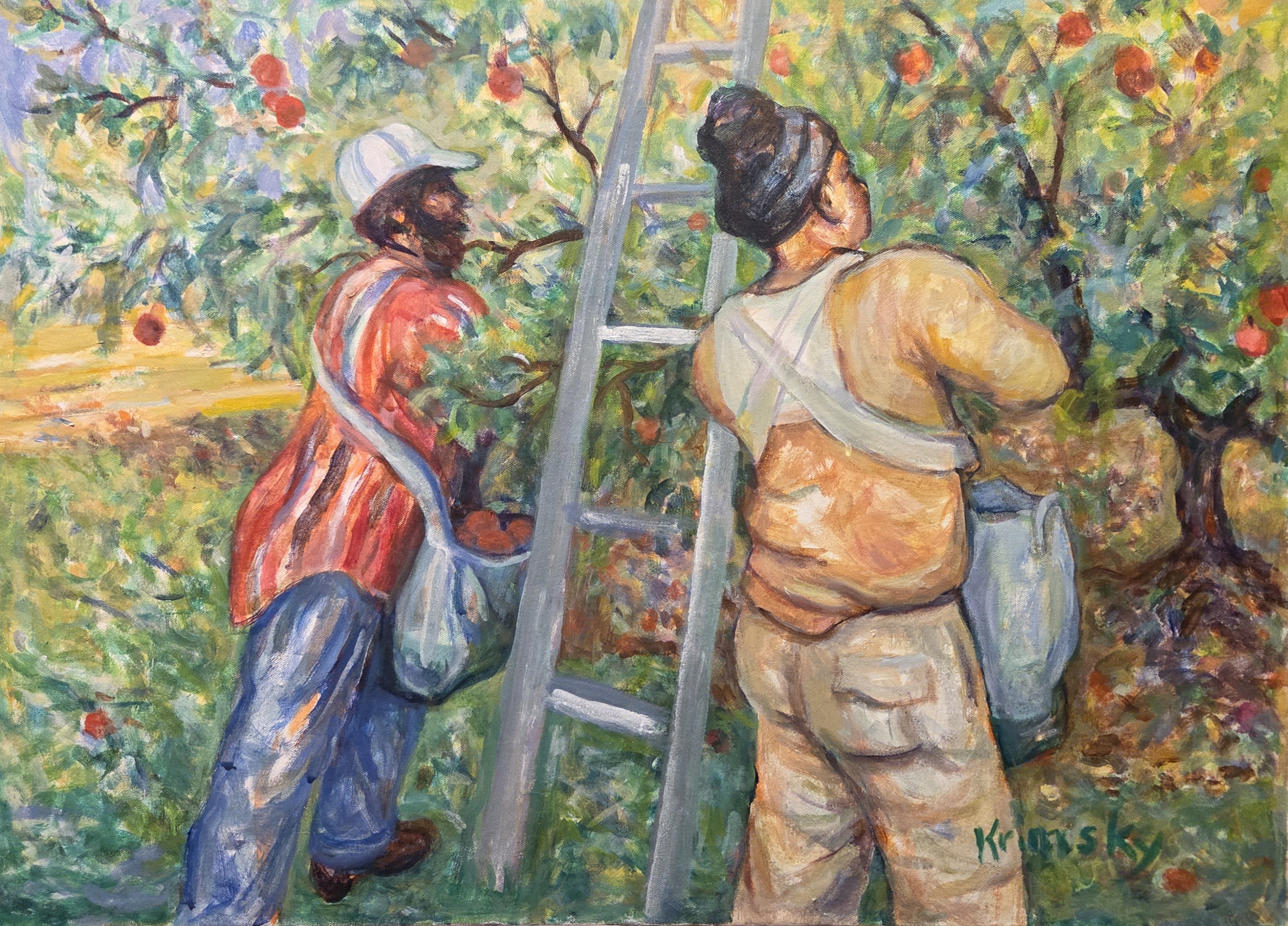 Migrant Workers Picking Apples 1