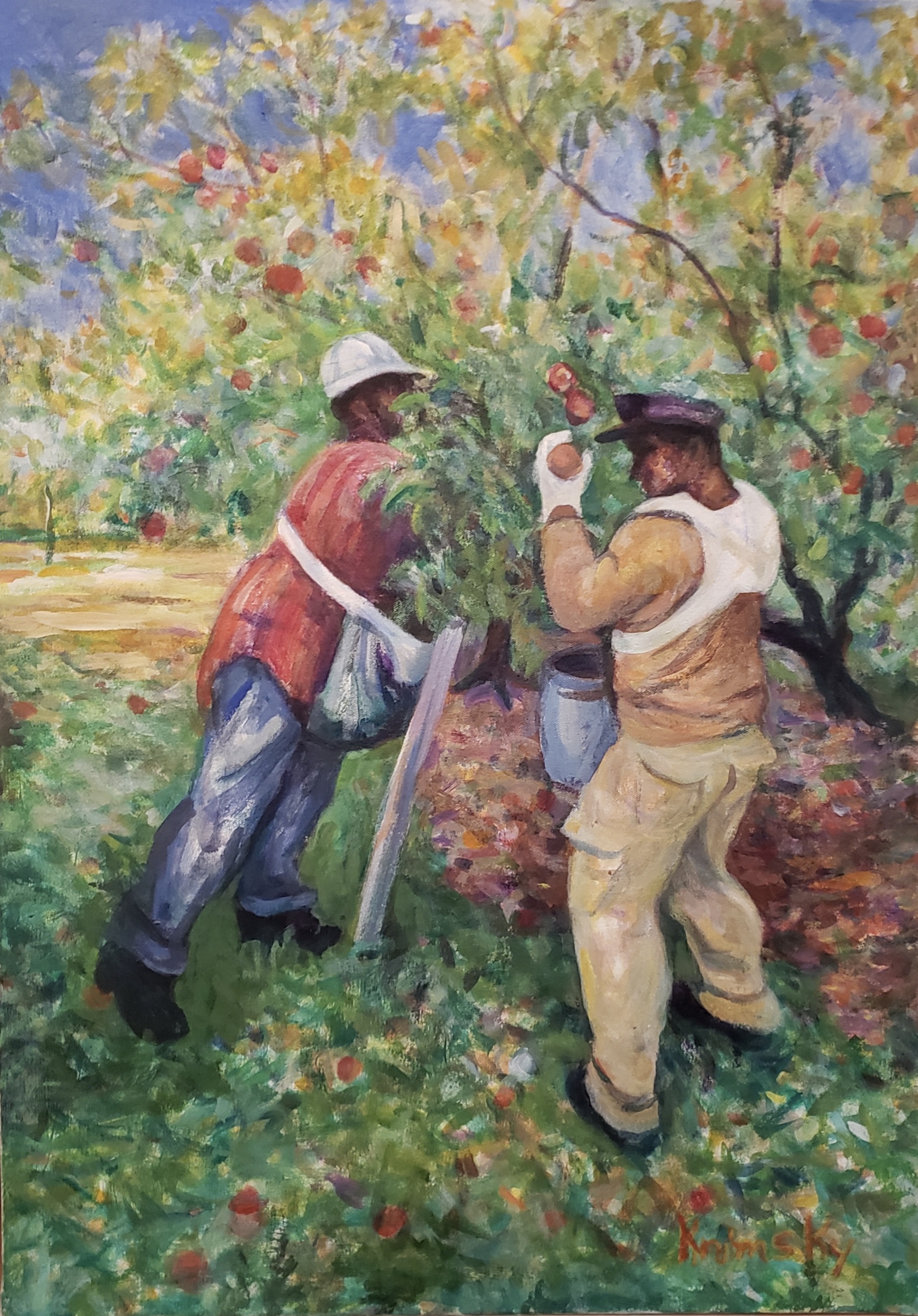Migrant Workers Picking Apples