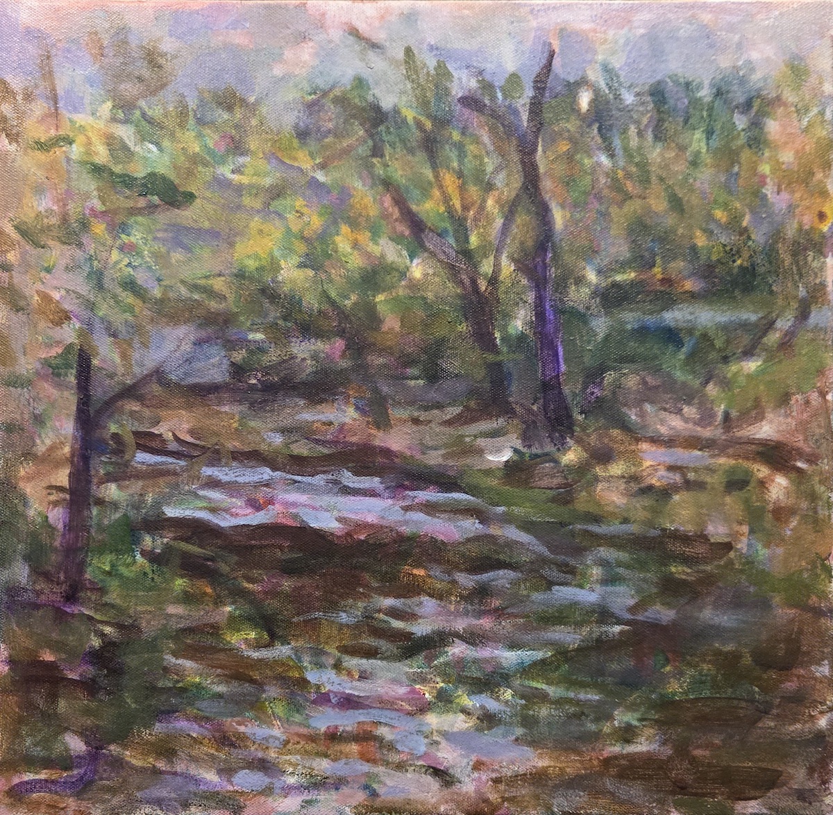 Creek By Zena Rd